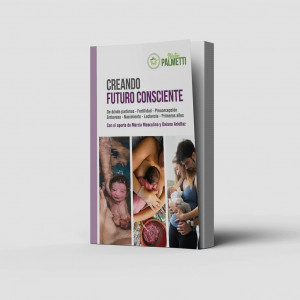 Creando Futuro Consciente (472 páginas) por Néstor Palmetti
